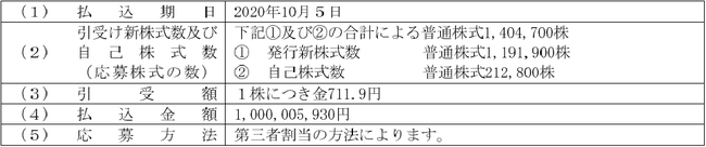 株式会社ニチリョクの新株式及び自己株式 概要 